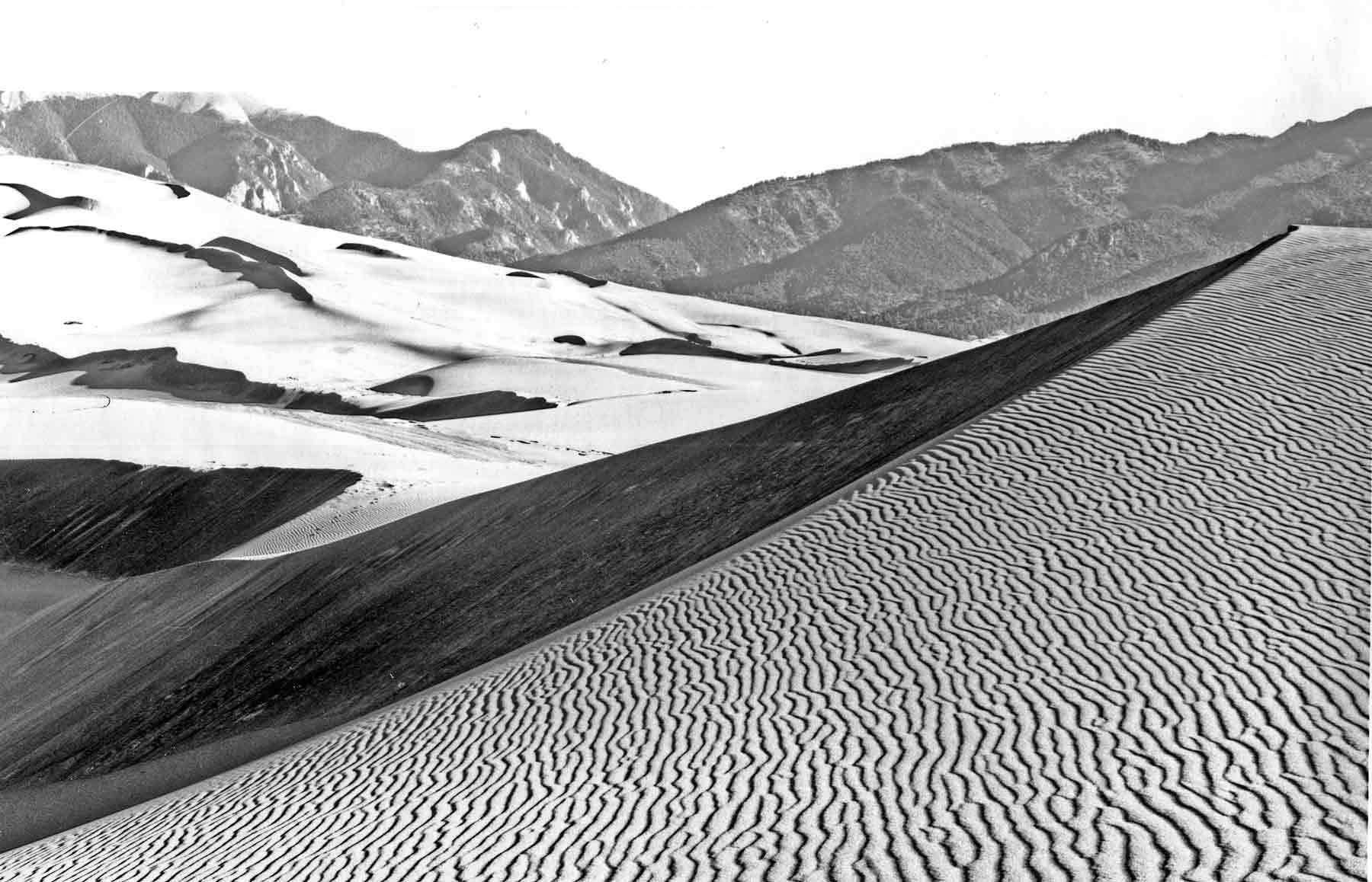 Click on this image for Pere Lachaise gallery. Image: Dune Study #4