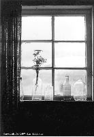 Click on this image for Other Images gallery. Image: Window Flowers