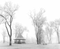 Click on this image for Great Plains gallery. WinterFogBrush_small.jpg